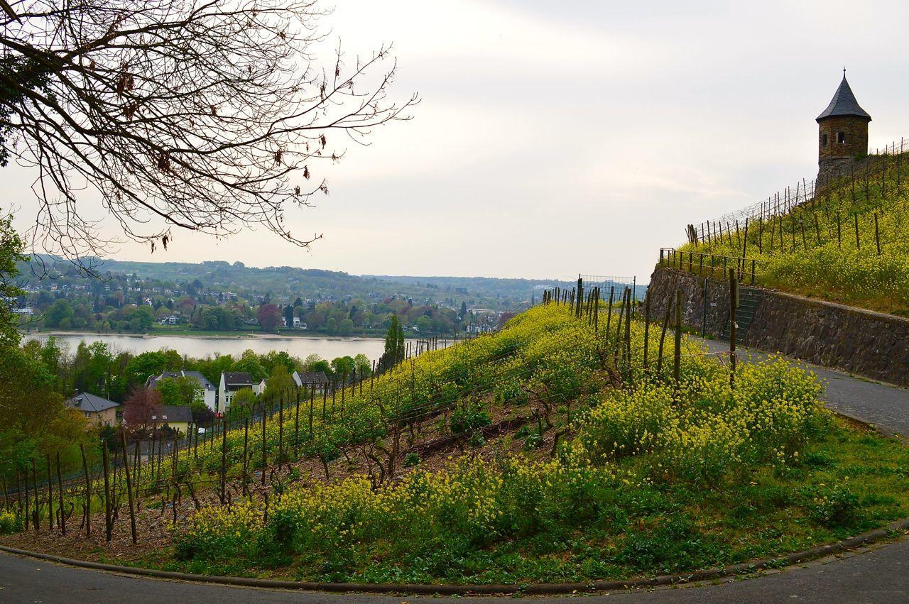 Hotel Weinhaus Hoff Bad Honnef Luaran gambar